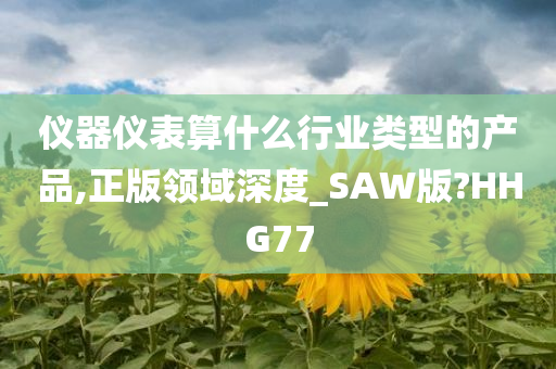 仪器仪表算什么行业类型的产品,正版领域深度_SAW版?HHG77