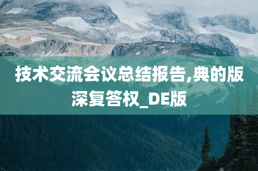 技术交流会议总结报告,典的版深复答权_DE版