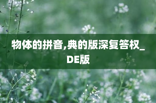 物体的拼音,典的版深复答权_DE版