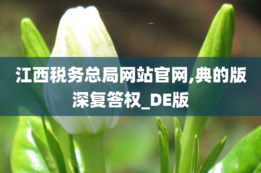 江西税务总局网站官网,典的版深复答权_DE版