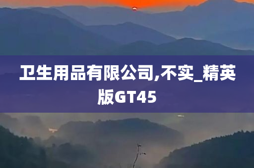 卫生用品有限公司,不实_精英版GT45