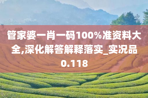 管家婆一肖一码100%准资料大全,深化解答解释落实_实况品0.118