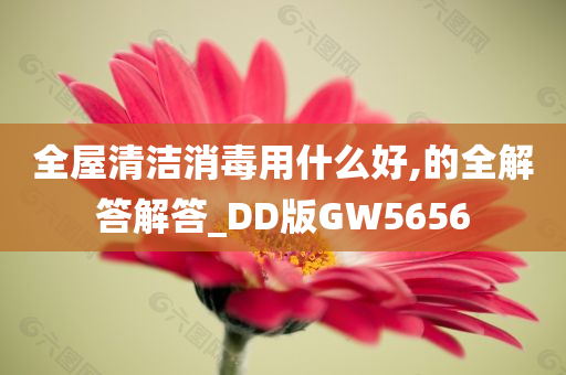 全屋清洁消毒用什么好,的全解答解答_DD版GW5656