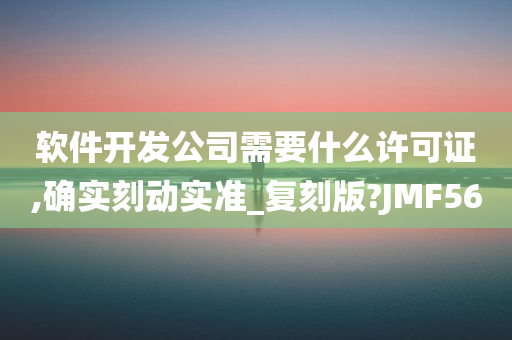 软件开发公司需要什么许可证,确实刻动实准_复刻版?JMF56