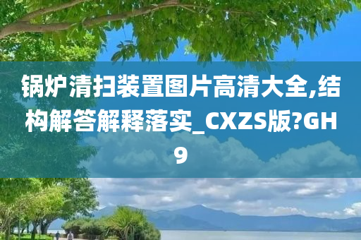 锅炉清扫装置图片高清大全,结构解答解释落实_CXZS版?GH9