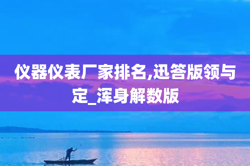 仪器仪表厂家排名,迅答版领与定_浑身解数版