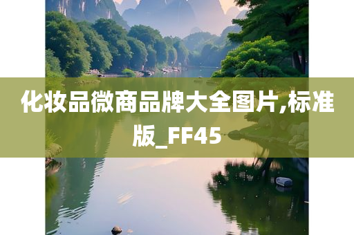 化妆品微商品牌大全图片,标准版_FF45