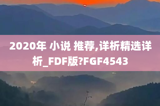 2020年 小说 推荐,详析精选详析_FDF版?FGF4543