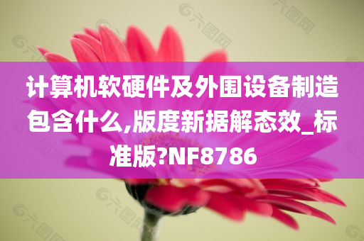 计算机软硬件及外围设备制造包含什么,版度新据解态效_标准版?NF8786