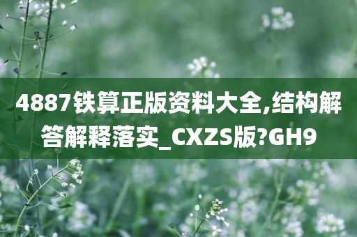 4887铁算正版资料大全,结构解答解释落实_CXZS版?GH9