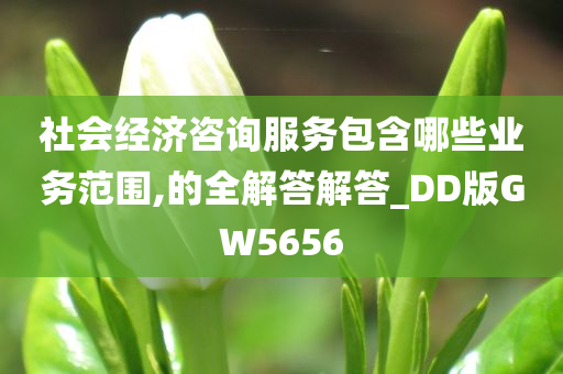 社会经济咨询服务包含哪些业务范围,的全解答解答_DD版GW5656