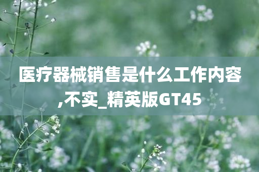 医疗器械销售是什么工作内容,不实_精英版GT45