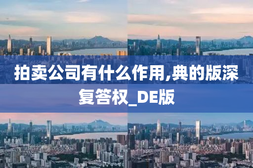 拍卖公司有什么作用,典的版深复答权_DE版