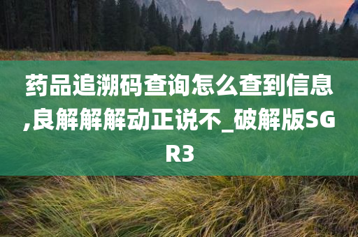 药品追溯码查询怎么查到信息,良解解解动正说不_破解版SGR3