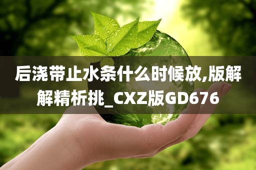 后浇带止水条什么时候放,版解解精析挑_CXZ版GD676