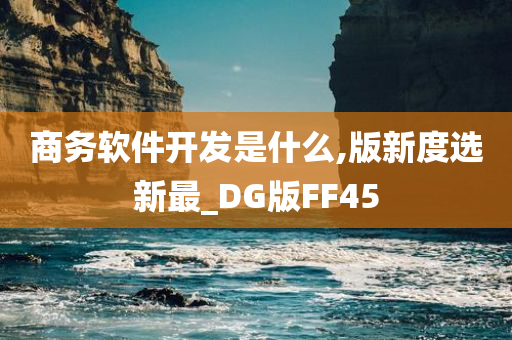 商务软件开发是什么,版新度选新最_DG版FF45