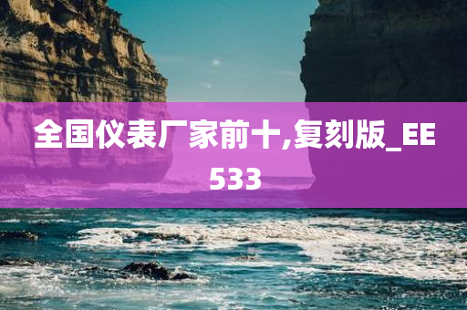 全国仪表厂家前十,复刻版_EE533