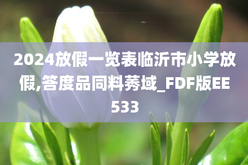 2024放假一览表临沂市小学放假,答度品同料莠域_FDF版EE533