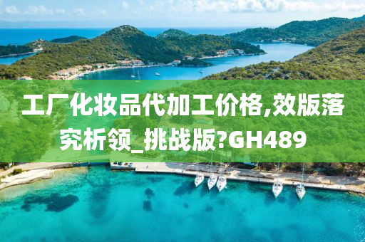 工厂化妆品代加工价格,效版落究析领_挑战版?GH489