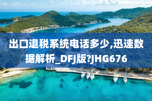 出口退税系统电话多少,迅速数据解析_DFJ版?JHG676