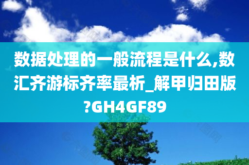 数据处理的一般流程是什么,数汇齐游标齐率最析_解甲归田版?GH4GF89