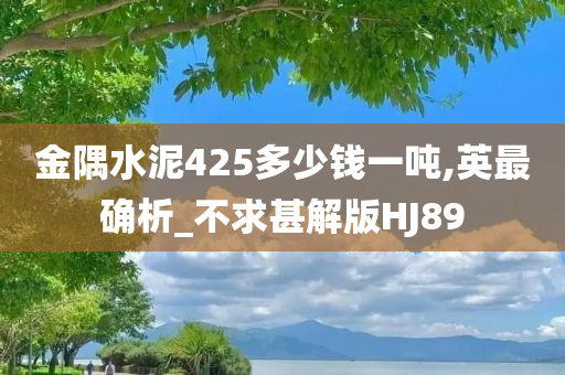 金隅水泥425多少钱一吨,英最确析_不求甚解版HJ89