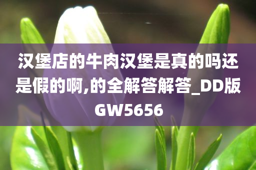 汉堡店的牛肉汉堡是真的吗还是假的啊,的全解答解答_DD版GW5656