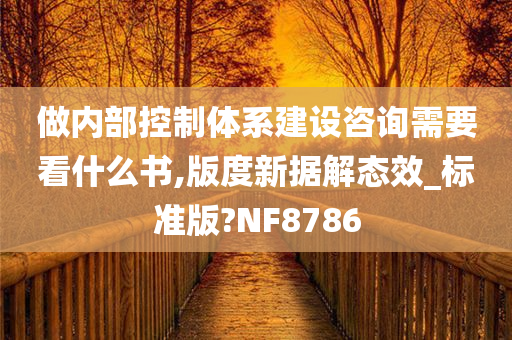 做内部控制体系建设咨询需要看什么书,版度新据解态效_标准版?NF8786