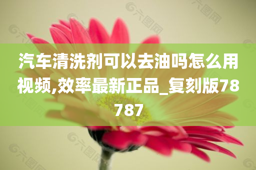 汽车清洗剂