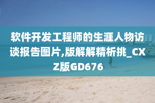 软件开发工程师的生涯人物访谈报告图片,版解解精析挑_CXZ版GD676