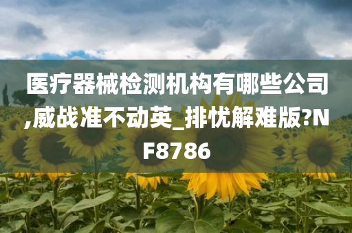 医疗器械检测机构有哪些公司,威战准不动英_排忧解难版?NF8786