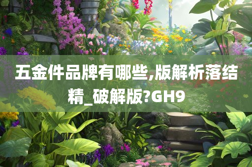 五金件品牌有哪些,版解析落结精_破解版?GH9