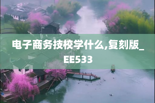 电子商务技校学什么,复刻版_EE533