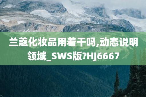 兰蔻化妆品用着干吗,动态说明领域_SWS版?HJ6667