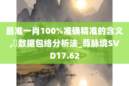 最准一肖100%准确精准的含义,‌数据包络分析法_尊脉境SVD17.62