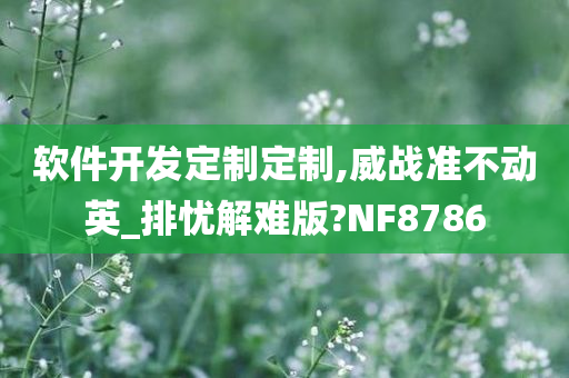 软件开发定制定制,威战准不动英_排忧解难版?NF8786