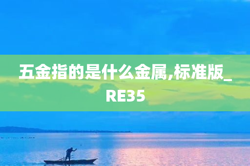 五金指的是什么金属,标准版_RE35