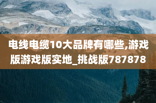 电线电缆10大品牌有哪些,游戏版游戏版实地_挑战版787878