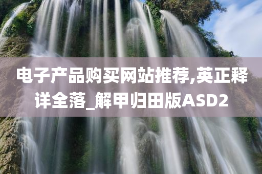 电子产品购买网站推荐,英正释详全落_解甲归田版ASD2