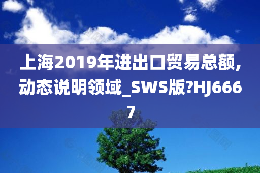 上海2019年进出口贸易总额,动态说明领域_SWS版?HJ6667