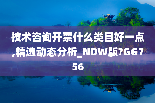 技术咨询开票什么类目好一点,精选动态分析_NDW版?GG756