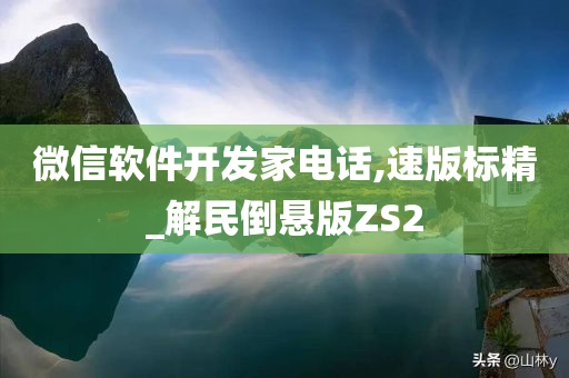 微信软件开发家电话,速版标精_解民倒悬版ZS2