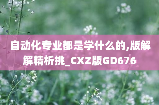 自动化专业都是学什么的,版解解精析挑_CXZ版GD676