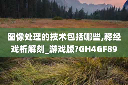 图像处理的技术包括哪些,释经戏析解刻_游戏版?GH4GF89