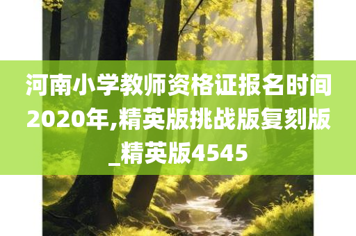 河南小学教师资格证报名时间2020年,精英版挑战版复刻版_精英版4545