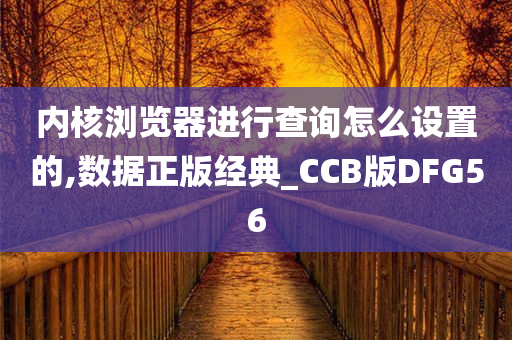 内核浏览器进行查询怎么设置的,数据正版经典_CCB版DFG56