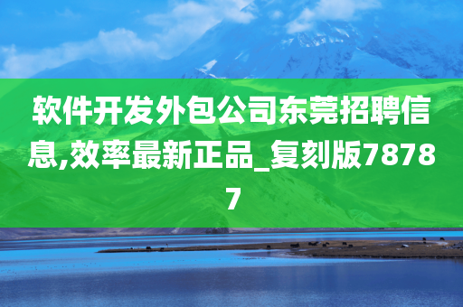 软件开发外包公司东莞招聘信息,效率最新正品_复刻版78787