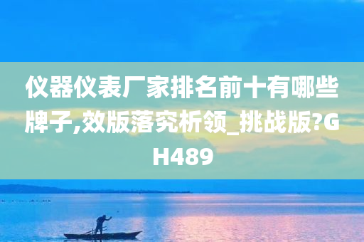 仪器仪表厂家排名前十有哪些牌子,效版落究析领_挑战版?GH489