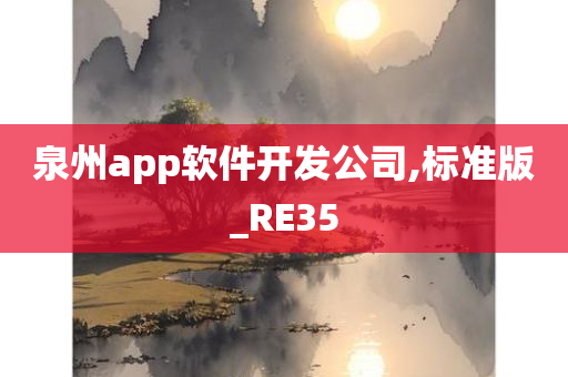 泉州app软件开发公司,标准版_RE35