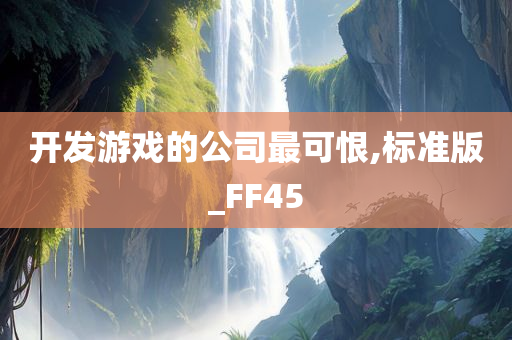 开发游戏的公司最可恨,标准版_FF45